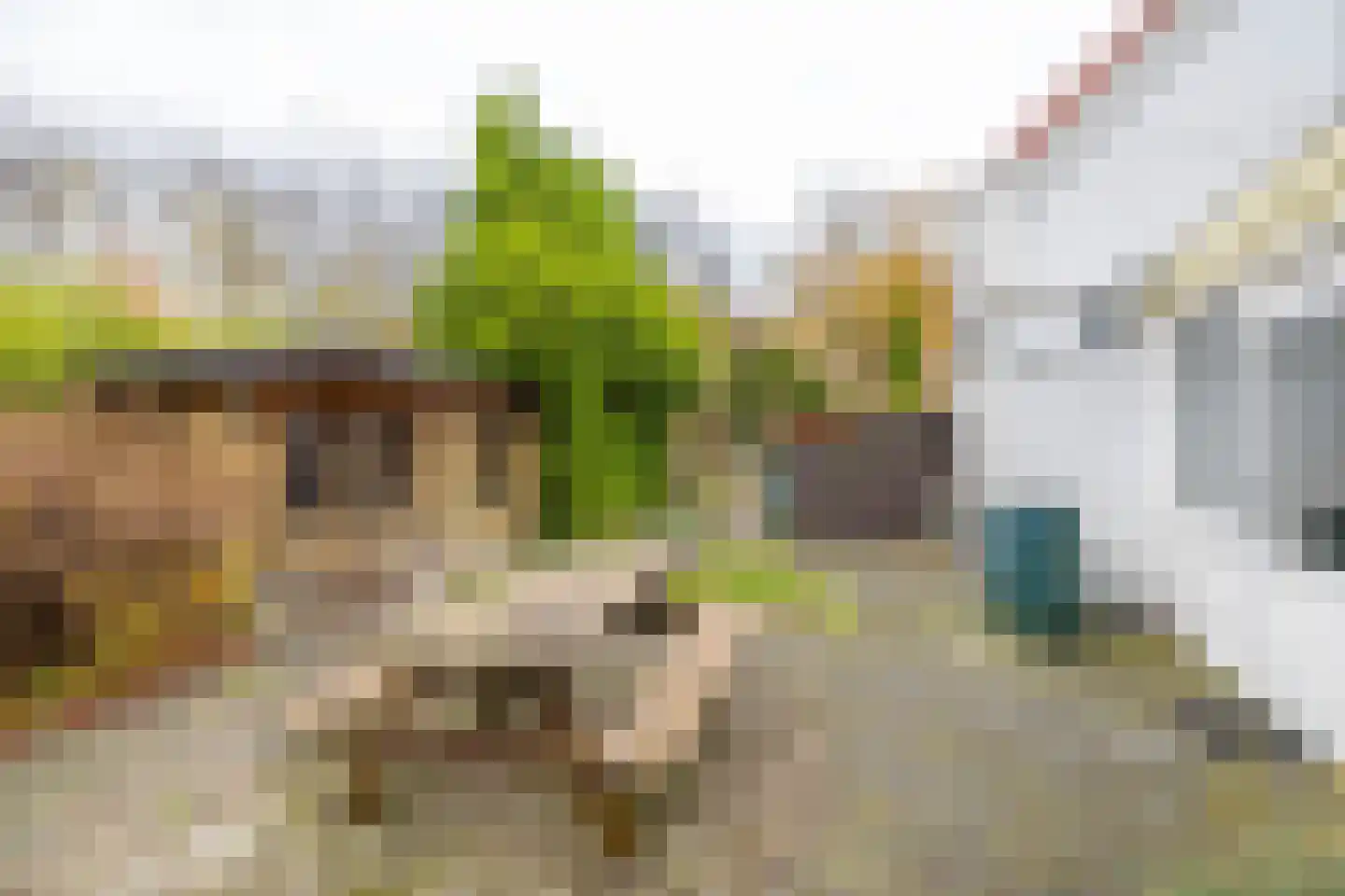 Eenerstraat 67 Norg thumbnail 44
