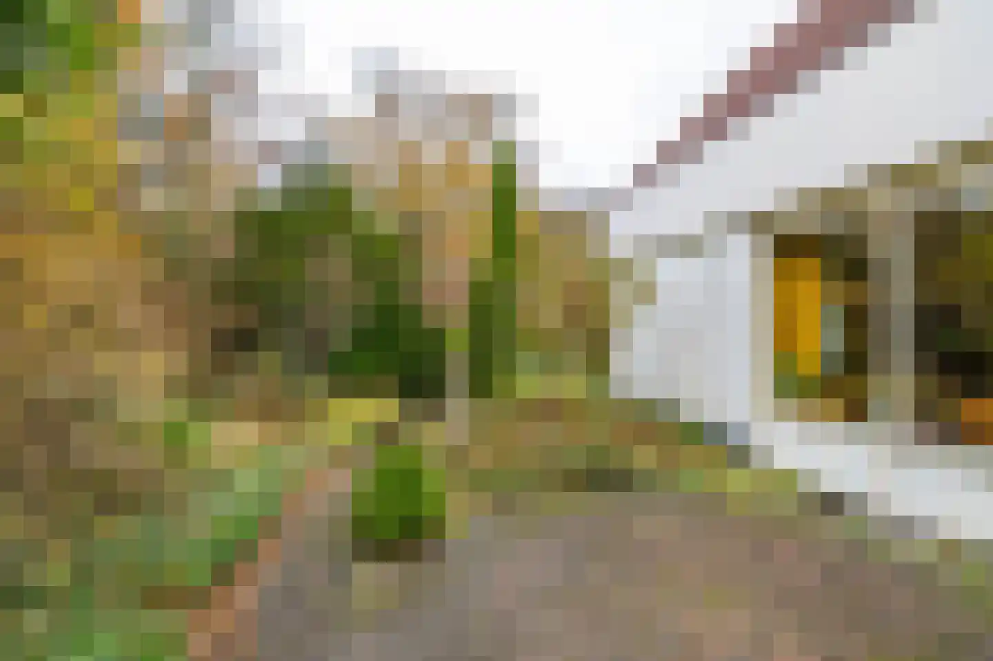 Eenerstraat 67 Norg thumbnail 45