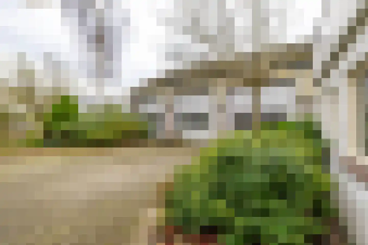 Eenerstraat 67 Norg thumbnail 9