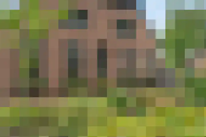 Eenerstraat 7 Norg thumbnail 14