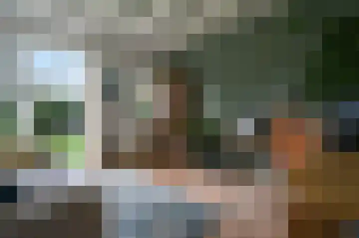 Eenerstraat 7 Norg thumbnail 38