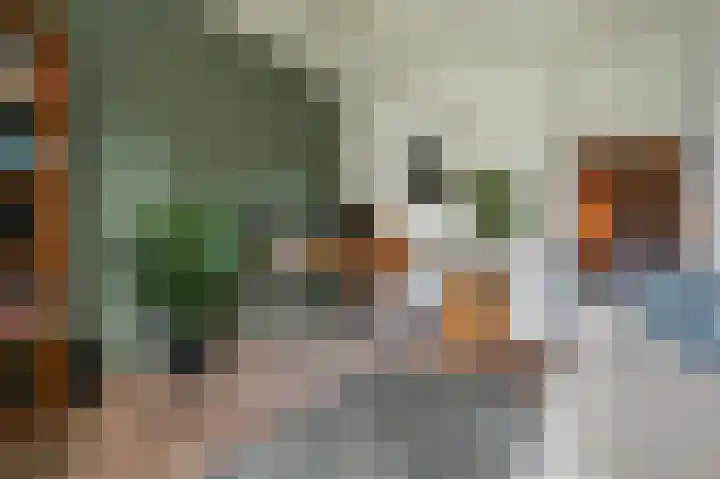 Eenerstraat 7 Norg thumbnail 39