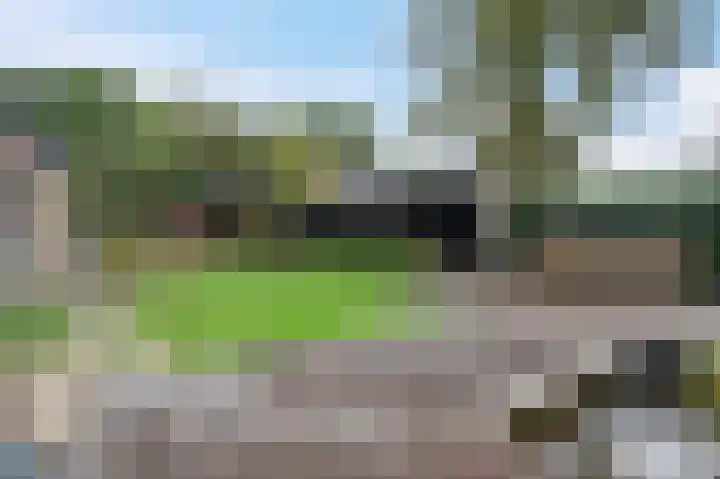 Eenerstraat 7 Norg thumbnail 64