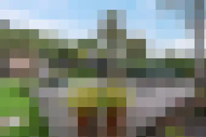 Eenerstraat 7 Norg thumbnail 65