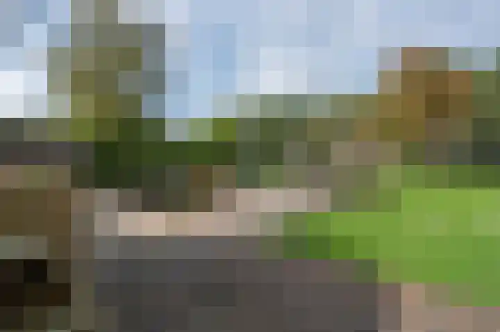Eenerstraat 7 Norg thumbnail 68