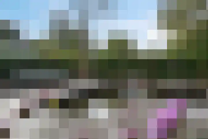 Eenerstraat 7 Norg thumbnail 69