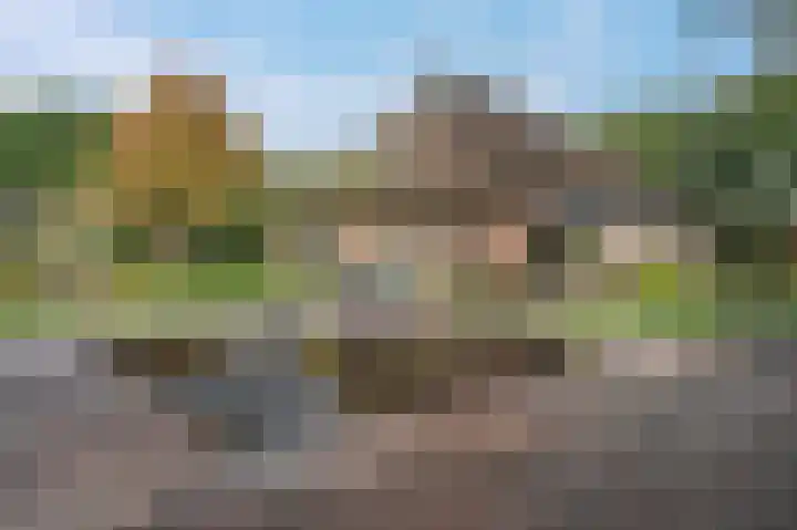 Eenerstraat 7 Norg thumbnail 7