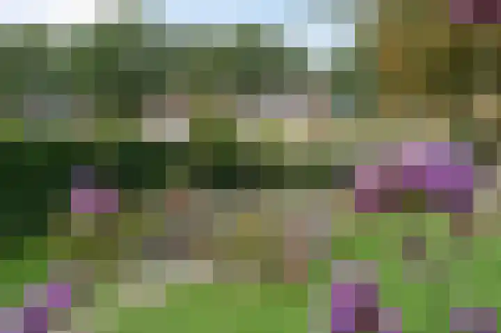 Eenerstraat 7 Norg thumbnail 70