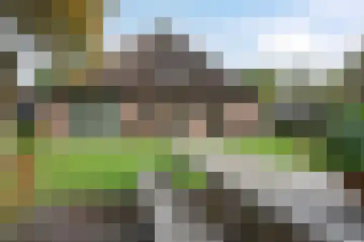 Eenerstraat 7 Norg thumbnail 71