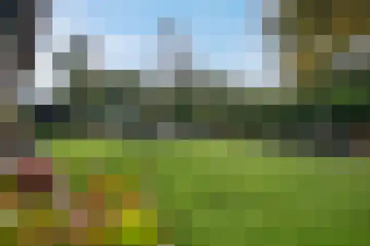 Eenerstraat 7 Norg thumbnail 72