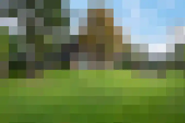 Eenerstraat 7 Norg thumbnail 73