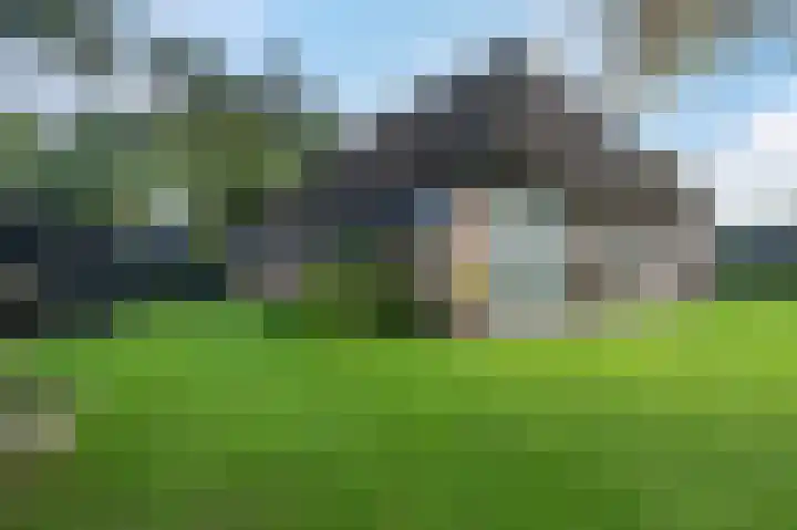 Eenerstraat 7 Norg thumbnail 74