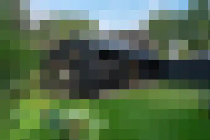 Eenerstraat 7 Norg thumbnail 75