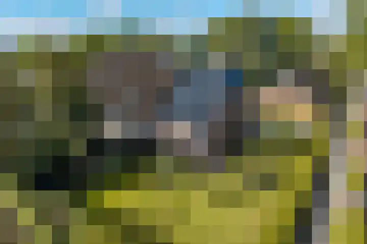 Eenerstraat 7 Norg thumbnail 80