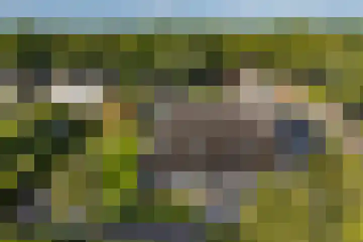 Eenerstraat 7 Norg thumbnail 81