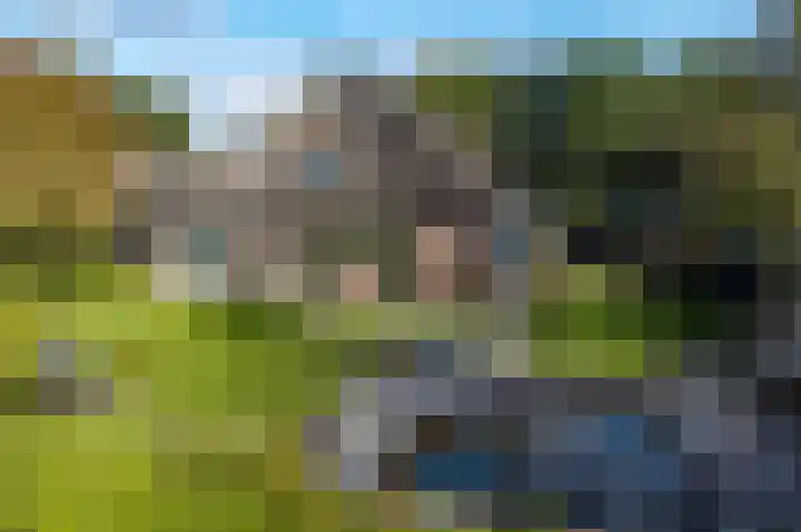 Eenerstraat 7 Norg thumbnail 82