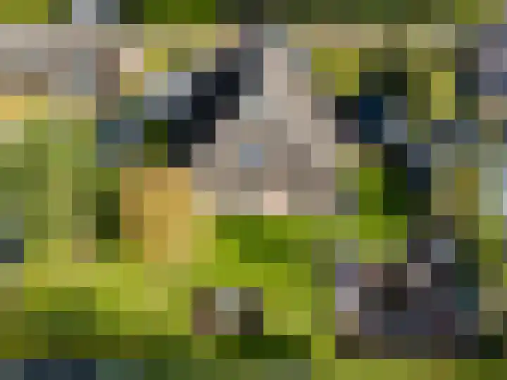 Eenerstraat 7 Norg thumbnail 83