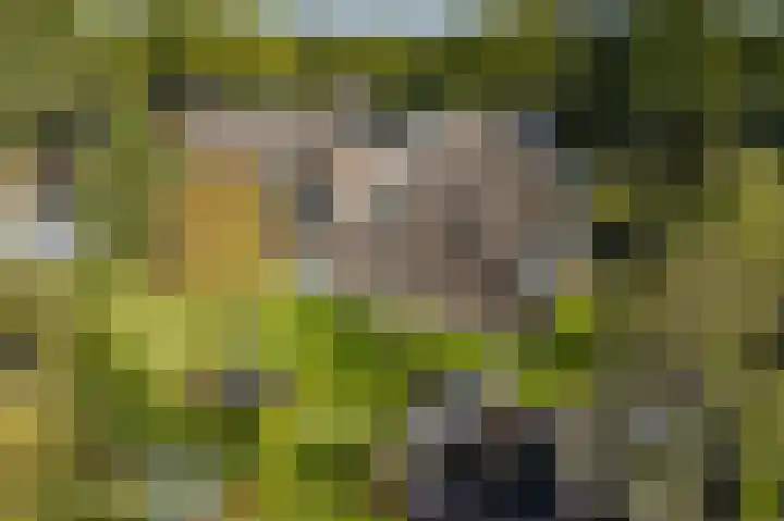 Eenerstraat 7 Norg thumbnail 84