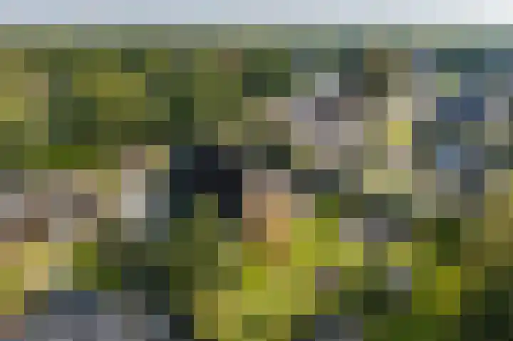 Eenerstraat 7 Norg thumbnail 85