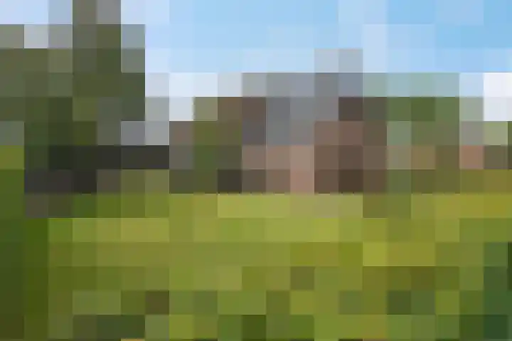Eenerstraat 7 Norg thumbnail 9