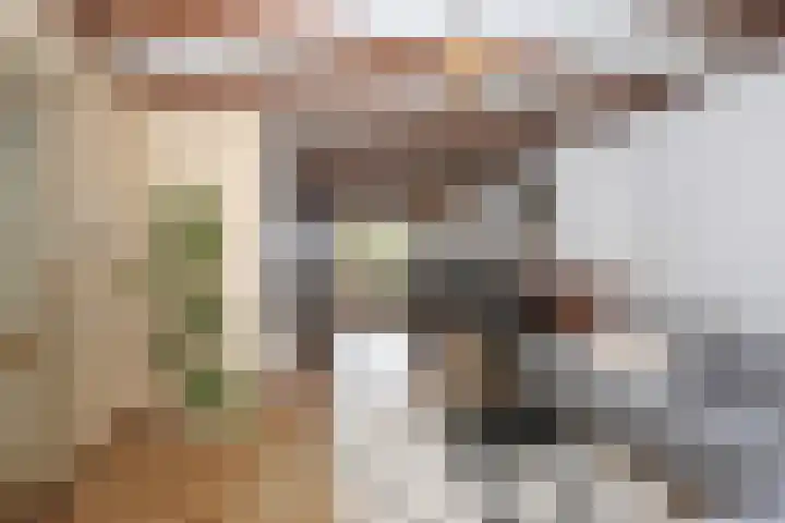 Eenheid 18 Sneek thumbnail 10