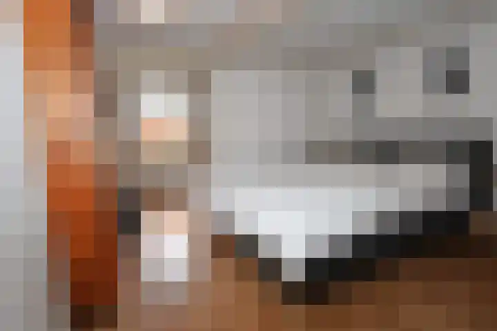 Eenheid 18 Sneek thumbnail 22