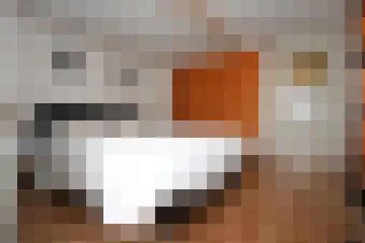 Eenheid 18 Sneek thumbnail 23