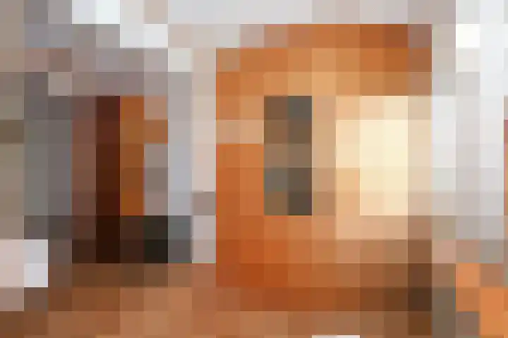 Eenheid 18 Sneek thumbnail 25