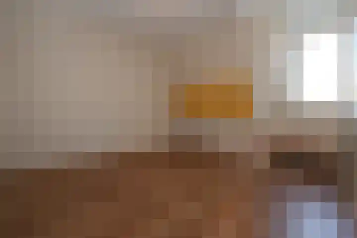 Eenheid 18 Sneek thumbnail 26