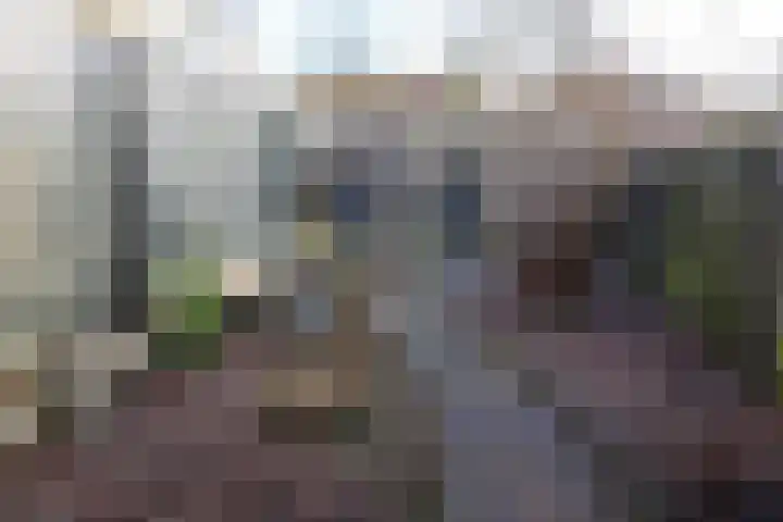 Eenheid 18 Sneek thumbnail 5