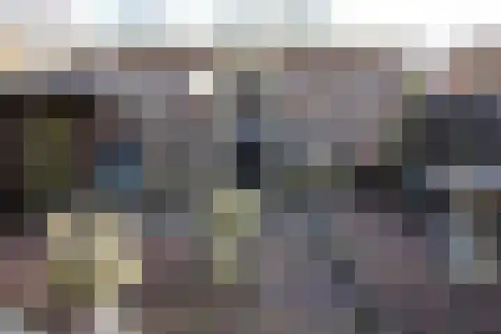 Eenheid 18 Sneek thumbnail 6