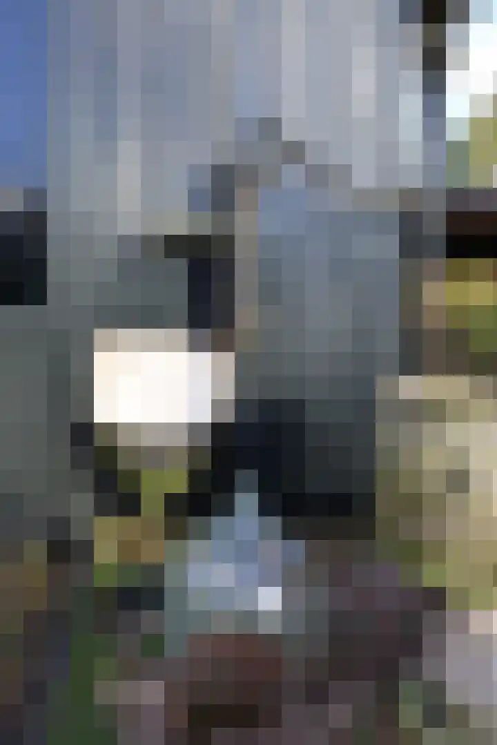 Eenheid 18 Sneek thumbnail 7
