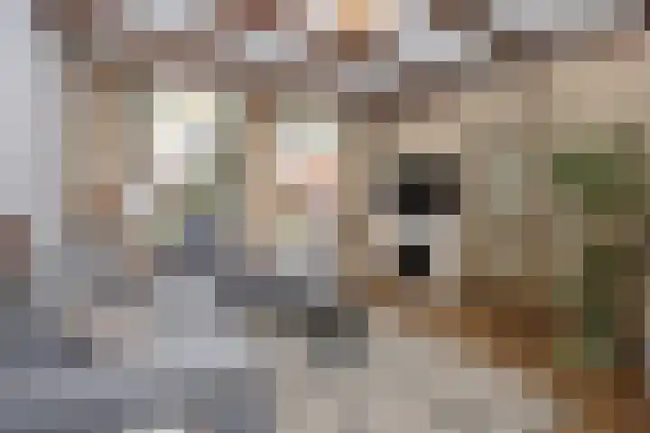 Eenheid 18 Sneek thumbnail 8