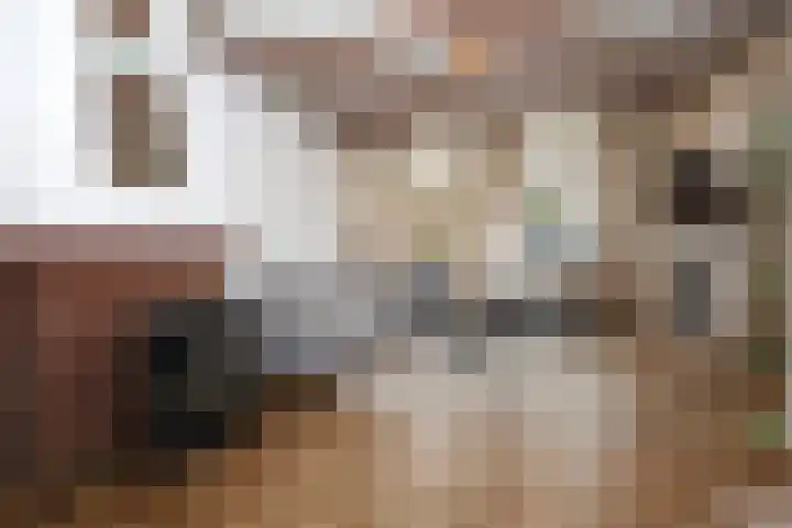 Eenheid 18 Sneek thumbnail 9