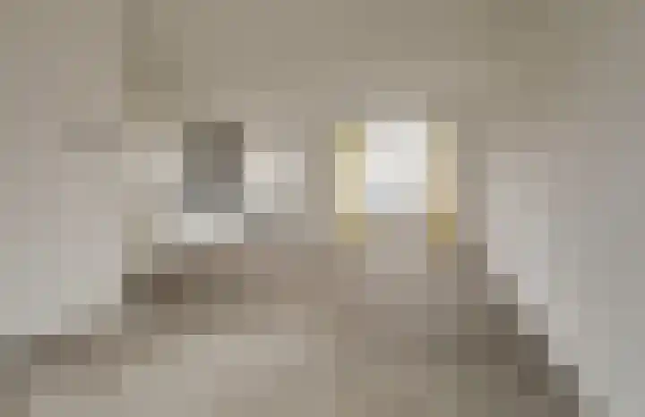 Eenhoorn 10 Kruiningen thumbnail 10