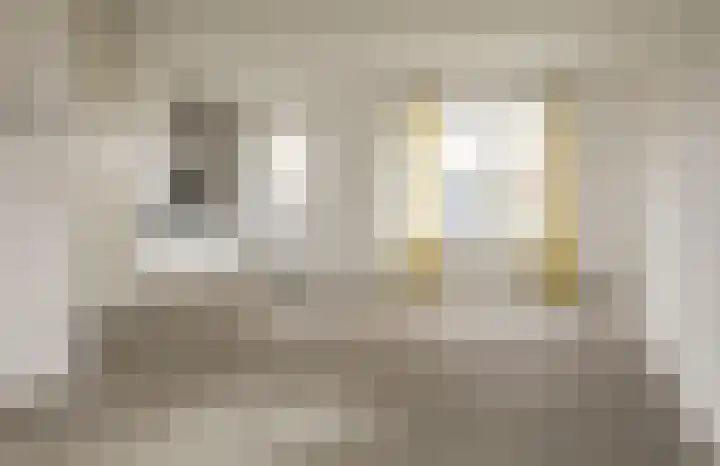 Eenhoorn 10 Kruiningen thumbnail 12