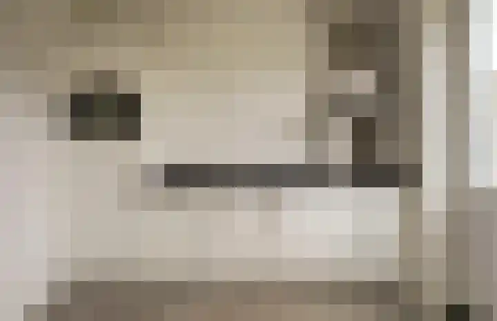 Eenhoorn 10 Kruiningen thumbnail 13