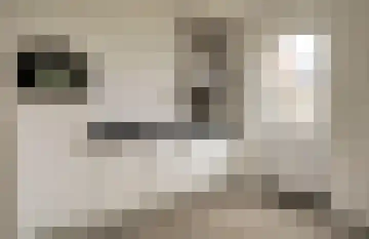 Eenhoorn 10 Kruiningen thumbnail 14