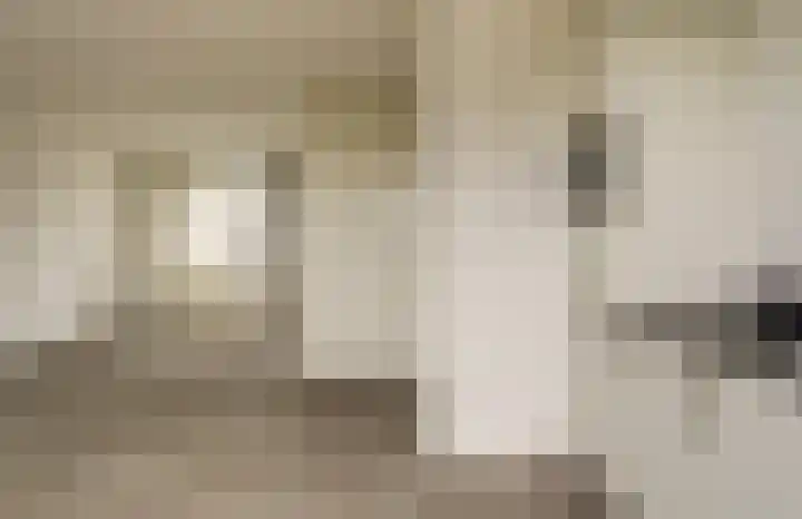 Eenhoorn 10 Kruiningen thumbnail 15