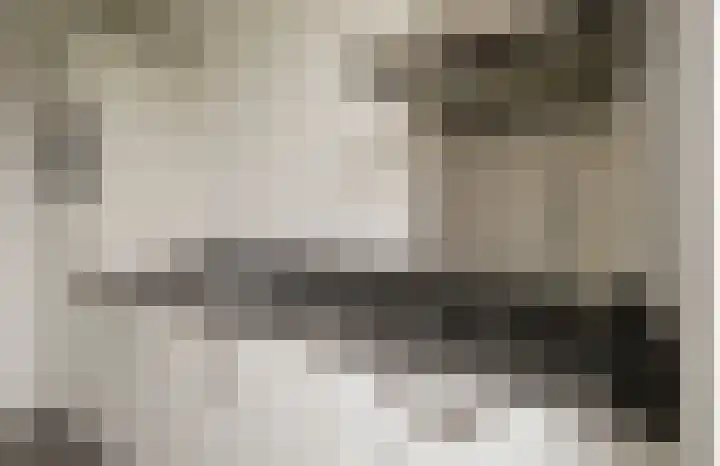Eenhoorn 10 Kruiningen thumbnail 17