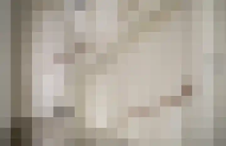 Eenhoorn 10 Kruiningen thumbnail 18