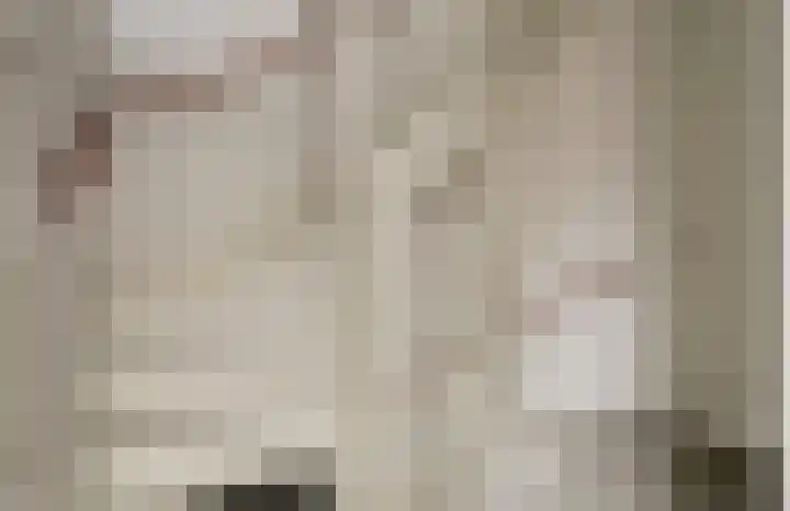 Eenhoorn 10 Kruiningen thumbnail 36