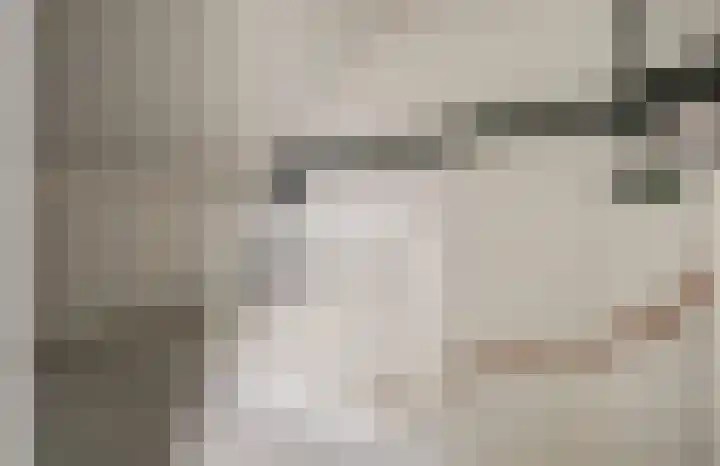 Eenhoorn 10 Kruiningen thumbnail 37