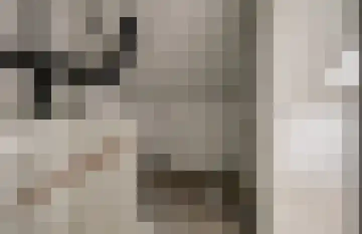 Eenhoorn 10 Kruiningen thumbnail 38
