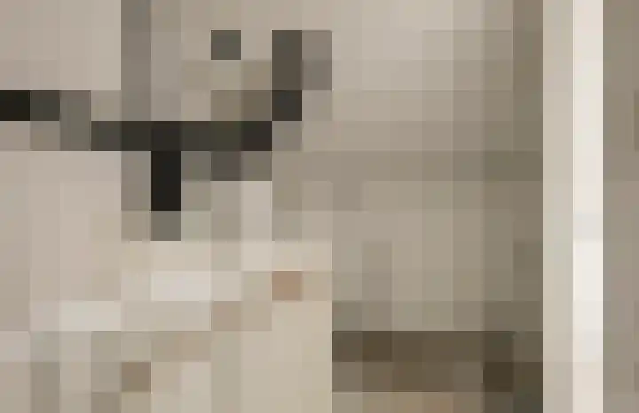 Eenhoorn 10 Kruiningen thumbnail 39