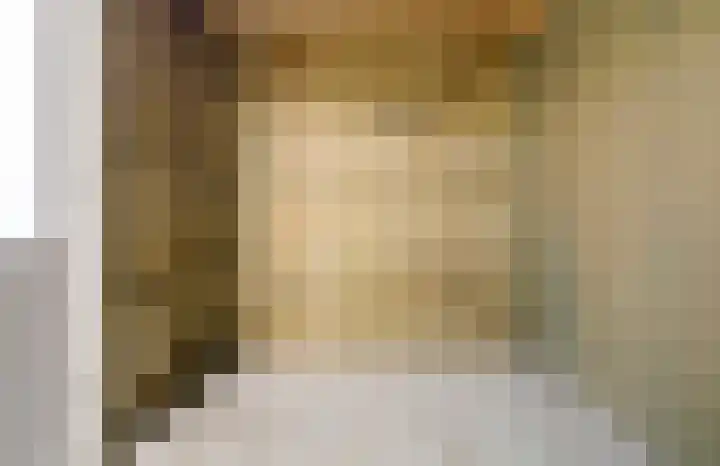 Eenhoorn 10 Kruiningen thumbnail 55