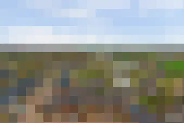Eenhoorn 10 Kruiningen thumbnail 61