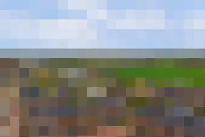 Eenhoorn 10 Kruiningen thumbnail 62