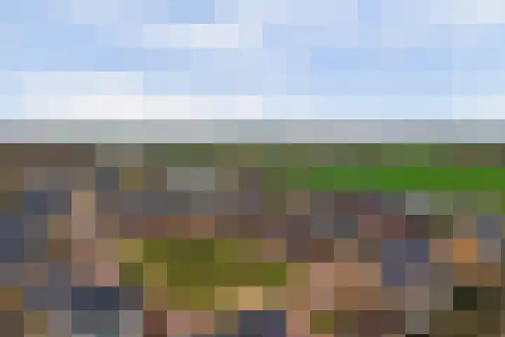 Eenhoorn 10 Kruiningen thumbnail 63