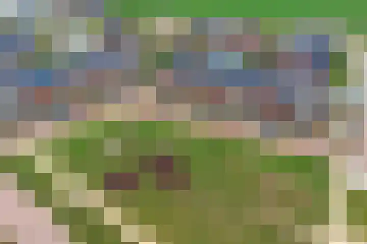 Eenhoorn 10 Kruiningen thumbnail 64